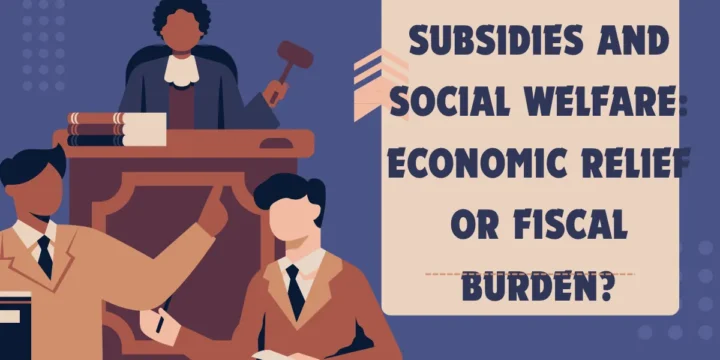 Subsidies and Social Welfare: Economic Relief or Fiscal Burden?
